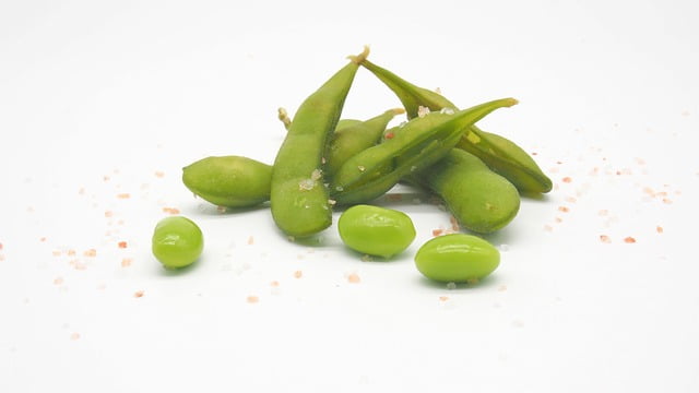 Can Rats Eat Edamame