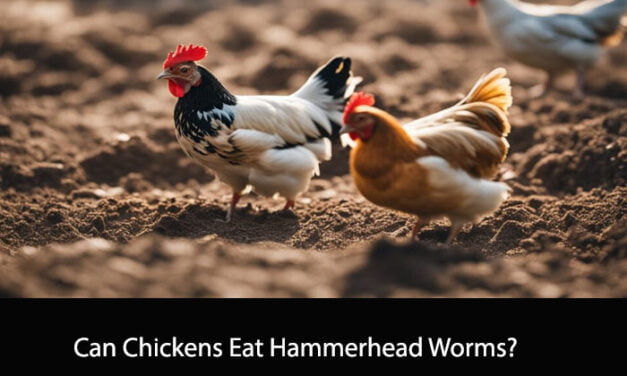 Can Chickens Eat Hammerhead Worms?