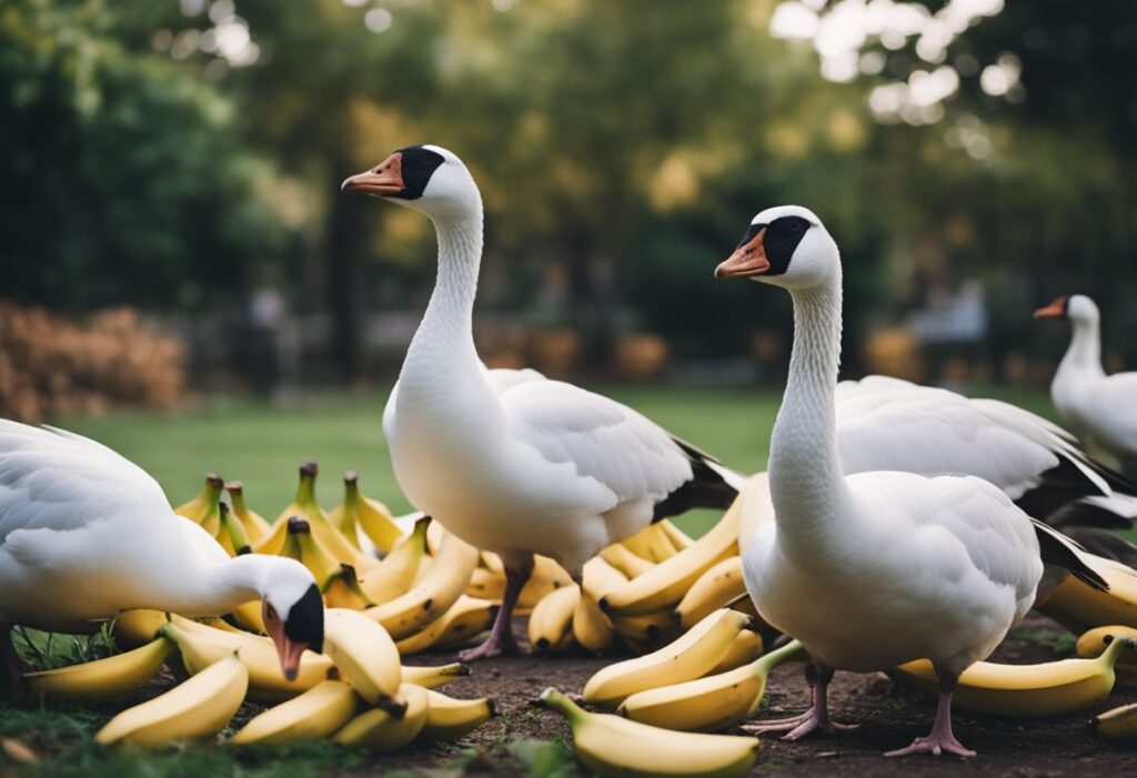 Can Geese Eat Bananas