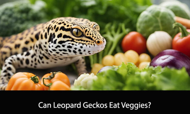 Can Leopard Geckos Eat Veggies?