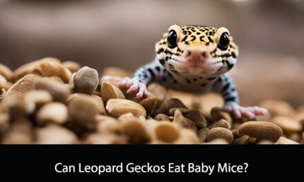 Can Leopard Geckos Eat Baby Mice?