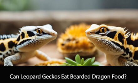 Can Leopard Geckos Eat Bearded Dragon Food?