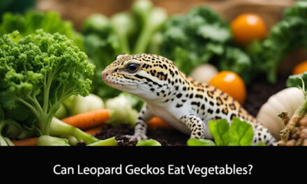 Can Leopard Geckos Eat Vegetables?