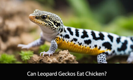 Can Leopard Geckos Eat Chicken?