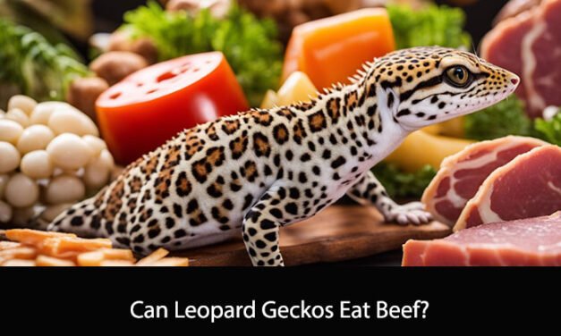 Can Leopard Geckos Eat Beef?