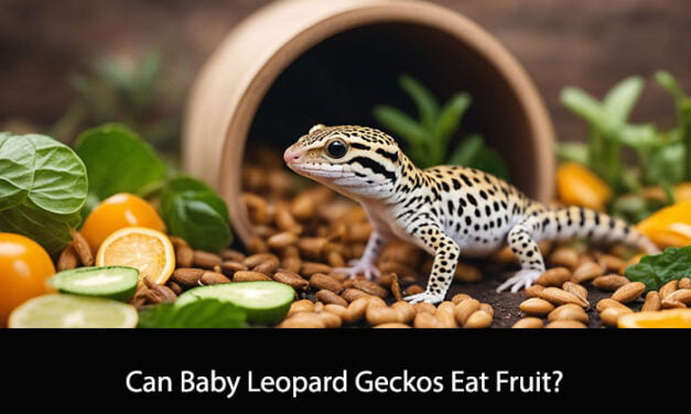 Can Baby Leopard Geckos Eat Fruit?