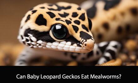 Can Baby Leopard Geckos Eat Mealworms?