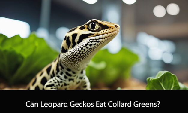 Can Leopard Geckos Eat Collard Greens?