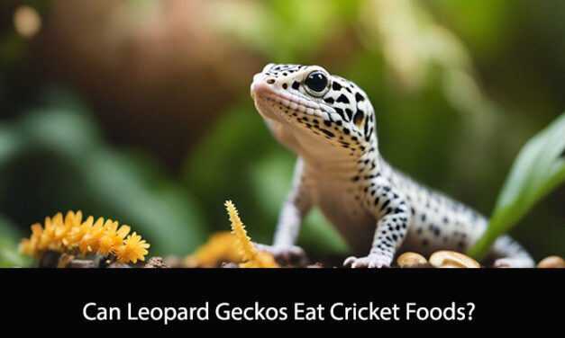 Can Leopard Geckos Eat Cricket Foods?