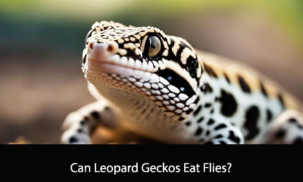 Can Leopard Geckos Eat Flies?