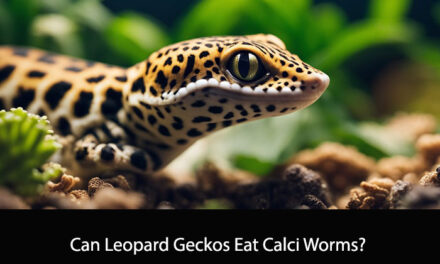 Can Leopard Geckos Eat Calci Worms?