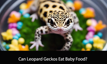 Can Leopard Geckos Eat Baby Food?