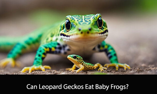 Can Leopard Geckos Eat Baby Frogs?