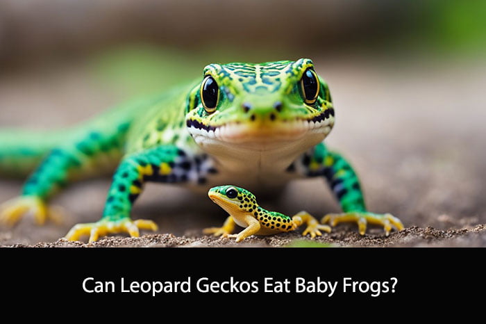 Can Leopard Geckos Eat Baby Frogs?