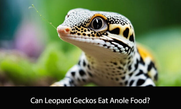 Can Leopard Geckos Eat Anole Food?