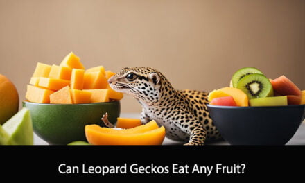 Can Leopard Geckos Eat Any Fruit?