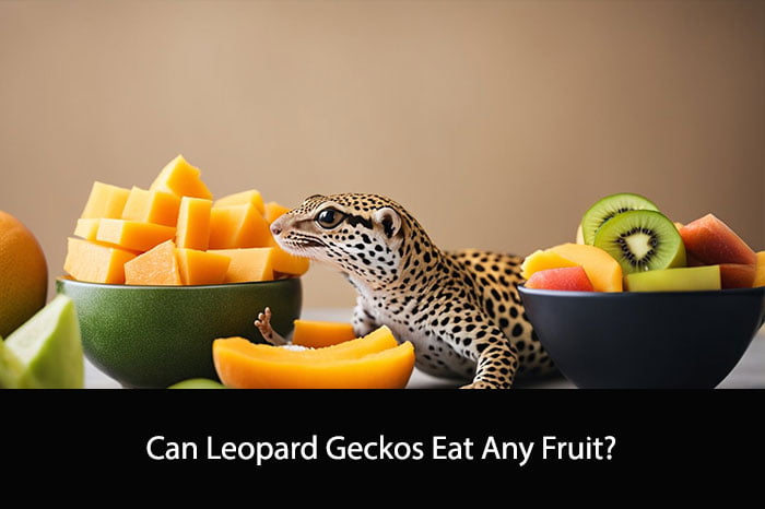 Can Leopard Geckos Eat Any Fruit?