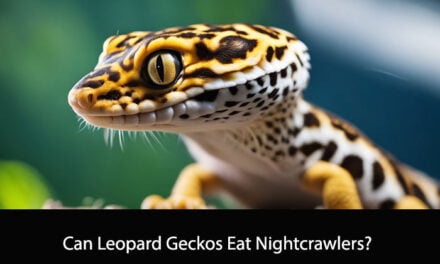 Can Leopard Geckos Eat Nightcrawlers?