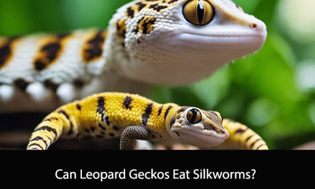 Can Leopard Geckos Eat Silkworms?