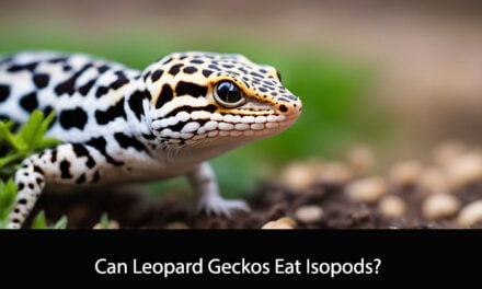 Can Leopard Geckos Eat Isopods?