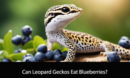 Can Leopard Geckos Eat Blueberries?