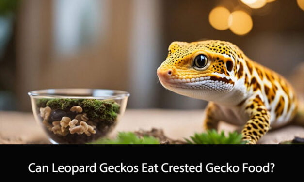 Can Leopard Geckos Eat Crested Gecko Food?