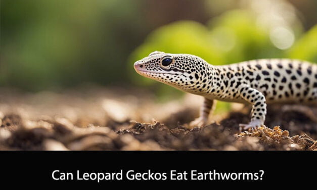 Can Leopard Geckos Eat Earthworms?