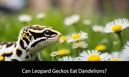 Can Leopard Geckos Eat Dandelions?