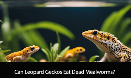 Can Leopard Geckos Eat Dead Mealworms?