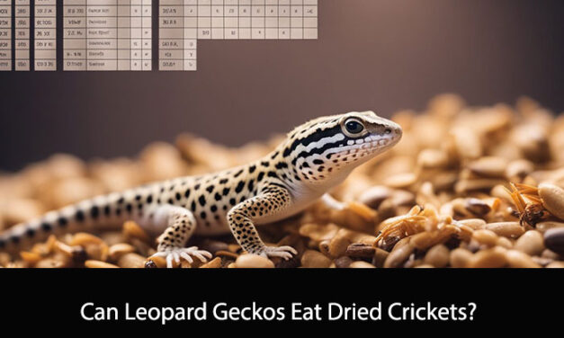 Can Leopard Geckos Eat Dried Crickets?