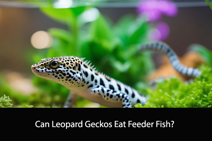 Can Leopard Geckos Eat Feeder Fish?