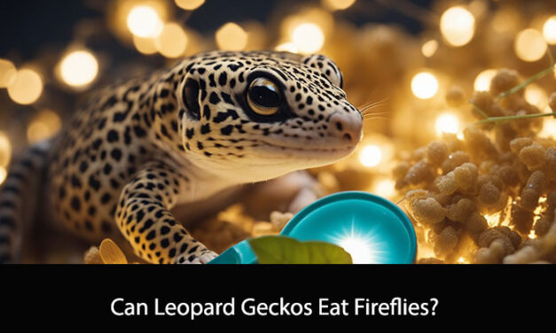 Can Leopard Geckos Eat Fireflies?