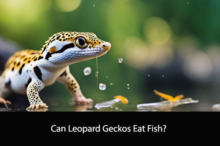 Can Leopard Geckos Eat Fish?