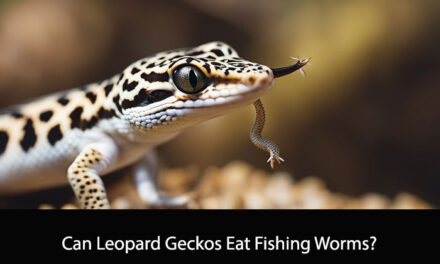 Can Leopard Geckos Eat Fishing Worms?