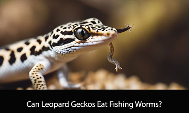 Can Leopard Geckos Eat Fishing Worms?