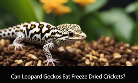 Can Leopard Geckos Eat Freeze Dried Crickets?