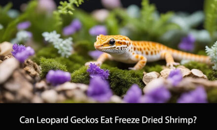 Can Leopard Geckos Eat Freeze Dried Shrimp?