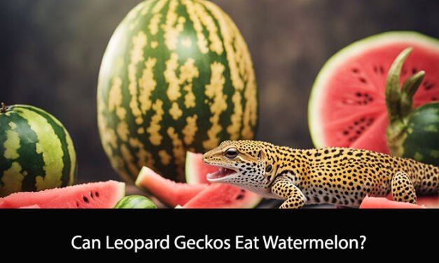 Can Leopard Geckos Eat Watermelon?