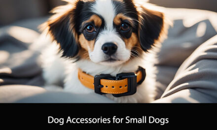 Dog Accessories for Small Dogs: Essential Items for Your Petite Pup