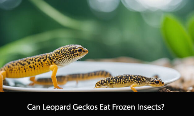 Can Leopard Geckos Eat Frozen Insects?