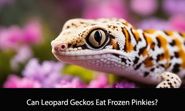 Can Leopard Geckos Eat Frozen Pinkies?