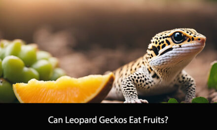 Can Leopard Geckos Eat Fruits?