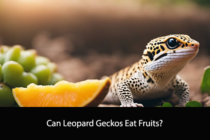 Can Leopard Geckos Eat Fruits?