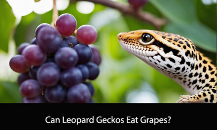 Can Leopard Geckos Eat Grapes?