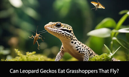 Can Leopard Geckos Eat Grasshoppers That Fly?