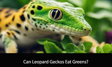 Can Leopard Geckos Eat Greens?