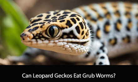 Can Leopard Geckos Eat Grub Worms?