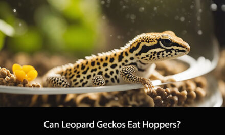 Can Leopard Geckos Eat Hoppers?