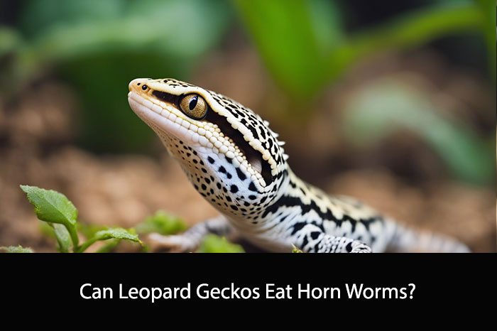 Can Leopard Geckos Eat Horn Worms?