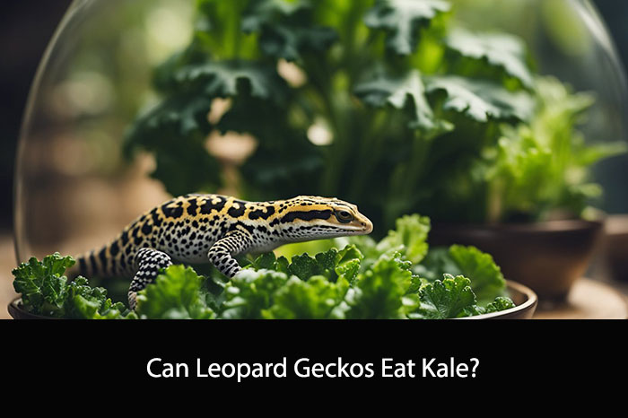 Can Leopard Geckos Eat Kale?